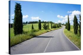 Cypress Trees Line Country Road, Chianti Region, Tuscany, Italy, Europe-Peter Groenendijk-Stretched Canvas