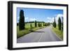 Cypress Trees Line Country Road, Chianti Region, Tuscany, Italy, Europe-Peter Groenendijk-Framed Photographic Print