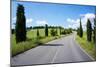 Cypress Trees Line Country Road, Chianti Region, Tuscany, Italy, Europe-Peter Groenendijk-Mounted Photographic Print