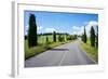 Cypress Trees Line Country Road, Chianti Region, Tuscany, Italy, Europe-Peter Groenendijk-Framed Photographic Print