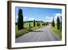 Cypress Trees Line Country Road, Chianti Region, Tuscany, Italy, Europe-Peter Groenendijk-Framed Photographic Print