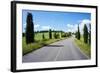 Cypress Trees Line Country Road, Chianti Region, Tuscany, Italy, Europe-Peter Groenendijk-Framed Photographic Print