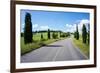 Cypress Trees Line Country Road, Chianti Region, Tuscany, Italy, Europe-Peter Groenendijk-Framed Photographic Print