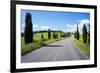 Cypress Trees Line Country Road, Chianti Region, Tuscany, Italy, Europe-Peter Groenendijk-Framed Photographic Print