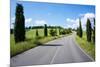 Cypress Trees Line Country Road, Chianti Region, Tuscany, Italy, Europe-Peter Groenendijk-Mounted Photographic Print