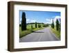 Cypress Trees Line Country Road, Chianti Region, Tuscany, Italy, Europe-Peter Groenendijk-Framed Premium Photographic Print