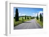 Cypress Trees Line Country Road, Chianti Region, Tuscany, Italy, Europe-Peter Groenendijk-Framed Premium Photographic Print