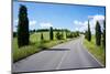 Cypress Trees Line Country Road, Chianti Region, Tuscany, Italy, Europe-Peter Groenendijk-Mounted Premium Photographic Print