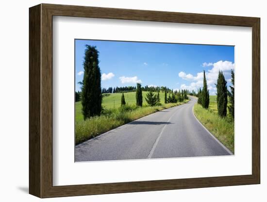 Cypress Trees Line Country Road, Chianti Region, Tuscany, Italy, Europe-Peter Groenendijk-Framed Photographic Print