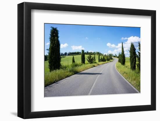 Cypress Trees Line Country Road, Chianti Region, Tuscany, Italy, Europe-Peter Groenendijk-Framed Photographic Print