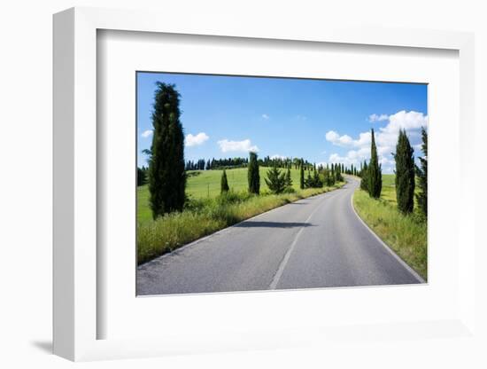 Cypress Trees Line Country Road, Chianti Region, Tuscany, Italy, Europe-Peter Groenendijk-Framed Photographic Print