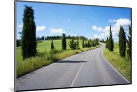 Cypress Trees Line Country Road, Chianti Region, Tuscany, Italy, Europe-Peter Groenendijk-Mounted Photographic Print