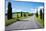 Cypress Trees Line Country Road, Chianti Region, Tuscany, Italy, Europe-Peter Groenendijk-Mounted Photographic Print