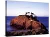 Cypress Trees on a Small Island on the Pacific Coast Near Carmel, California-Carol Highsmith-Stretched Canvas