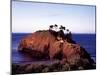 Cypress Trees on a Small Island on the Pacific Coast Near Carmel, California-Carol Highsmith-Mounted Photo