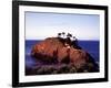 Cypress Trees on a Small Island on the Pacific Coast Near Carmel, California-Carol Highsmith-Framed Photo