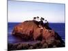 Cypress Trees on a Small Island on the Pacific Coast Near Carmel, California-Carol Highsmith-Mounted Photo