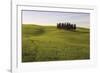 Cypress Trees Tuscany-Bill Philip-Framed Giclee Print