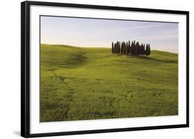 Cypress Trees Tuscany-Bill Philip-Framed Giclee Print