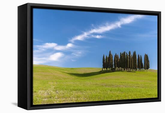 Cypress Trees, Val D'Orcia, Tuscany, Italy-Stefano Politi Markovina-Framed Stretched Canvas