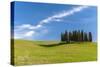 Cypress Trees, Val D'Orcia, Tuscany, Italy-Stefano Politi Markovina-Stretched Canvas