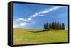 Cypress Trees, Val D'Orcia, Tuscany, Italy-Stefano Politi Markovina-Framed Stretched Canvas