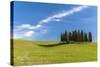 Cypress Trees, Val D'Orcia, Tuscany, Italy-Stefano Politi Markovina-Stretched Canvas