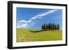 Cypress Trees, Val D'Orcia, Tuscany, Italy-Stefano Politi Markovina-Framed Photographic Print