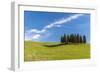 Cypress Trees, Val D'Orcia, Tuscany, Italy-Stefano Politi Markovina-Framed Photographic Print