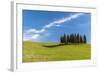 Cypress Trees, Val D'Orcia, Tuscany, Italy-Stefano Politi Markovina-Framed Photographic Print