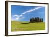Cypress Trees, Val D'Orcia, Tuscany, Italy-Stefano Politi Markovina-Framed Photographic Print