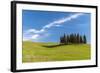 Cypress Trees, Val D'Orcia, Tuscany, Italy-Stefano Politi Markovina-Framed Photographic Print