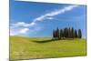 Cypress Trees, Val D'Orcia, Tuscany, Italy-Stefano Politi Markovina-Mounted Photographic Print