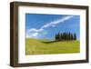 Cypress Trees, Val D'Orcia, Tuscany, Italy-Stefano Politi Markovina-Framed Photographic Print