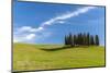 Cypress Trees, Val D'Orcia, Tuscany, Italy-Stefano Politi Markovina-Mounted Photographic Print