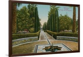 Cypress Walk, Alcazar, in Seville, Spain. Postcard Sent in 1913-French Photographer-Framed Giclee Print