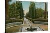 Cypress Walk, Alcazar, in Seville, Spain. Postcard Sent in 1913-French Photographer-Stretched Canvas