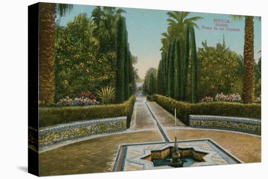 Cypress Walk, Alcazar, in Seville, Spain. Postcard Sent in 1913-French Photographer-Stretched Canvas