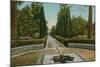 Cypress Walk, Alcazar, in Seville, Spain. Postcard Sent in 1913-French Photographer-Mounted Giclee Print