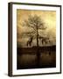 Cypress-Lydia Marano-Framed Photographic Print