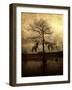 Cypress-Lydia Marano-Framed Photographic Print