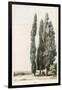 Cypress-Girard-Framed Art Print