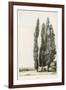 Cypress-Girard-Framed Art Print