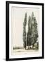 Cypress-Girard-Framed Art Print