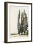 Cypress-Girard-Framed Art Print