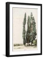 Cypress-Girard-Framed Art Print