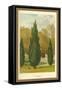 Cypress-W.h.j. Boot-Framed Stretched Canvas