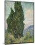 Cypresses, 1889-Vincent van Gogh-Mounted Giclee Print