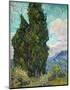 Cypresses, 1889-Vincent Van Gogh-Mounted Art Print