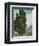 Cypresses, 1889-Vincent Van Gogh-Framed Art Print